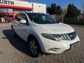 Nissan Murano Executive EXPORT oder GEWERBE Weiß - thumbnail 10