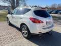 Nissan Murano Executive EXPORT oder GEWERBE Weiß - thumbnail 4