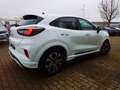 Ford Puma ST-Line 1.0 EcoBoost LED/Navi/SHZ/Kamera/Allwetter Weiß - thumbnail 8