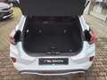 Ford Puma ST-Line 1.0 EcoBoost LED/Navi/SHZ/Kamera/Allwetter Weiß - thumbnail 11