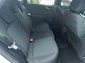 Ford Puma ST-Line 1.0 EcoBoost LED/Navi/SHZ/Kamera/Allwetter Weiß - thumbnail 12
