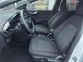 Ford Puma ST-Line 1.0 EcoBoost LED/Navi/SHZ/Kamera/Allwetter Weiß - thumbnail 9