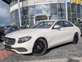 Mercedes-Benz E 220 E220d 9G Avantgarde LED PDC NAVI Kamera Weiß - thumbnail 2