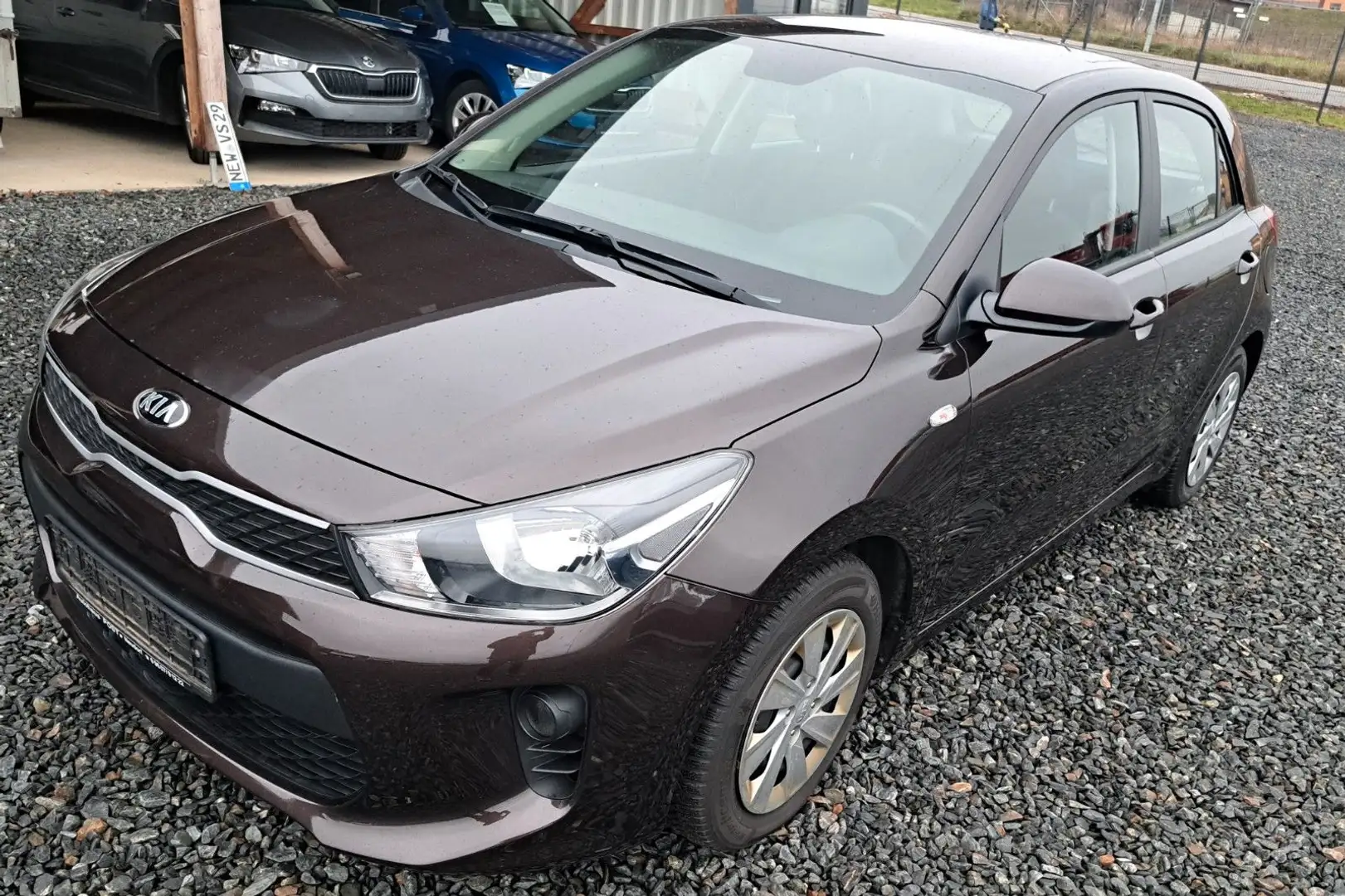 Kia Rio Edition 7 Braun - 2