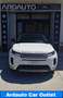 Land Rover Range Rover Evoque Range Rover Evoque D165 Mild-Hybrid163 cv 4x4 Bianco - thumbnail 2