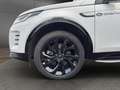 Land Rover Discovery Sport D200 Dynamic SE UPE:70.585,- Weiß - thumbnail 8