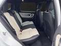 Land Rover Discovery Sport D200 Dynamic SE UPE:70.585,- Weiß - thumbnail 7