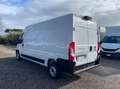 Fiat Ducato 35 LH2 2.2 mjt3 140cv serie 8 +iva Weiß - thumbnail 5