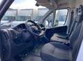 Fiat Ducato 35 LH2 2.2 mjt3 140cv serie 8 +iva Weiß - thumbnail 13