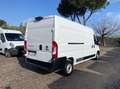 Fiat Ducato 35 LH2 2.2 mjt3 140cv serie 8 +iva Weiß - thumbnail 7
