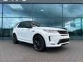 Land Rover Discovery Sport R-DYNAMIC Autom. AWD Pano 360° Weiß - thumbnail 33