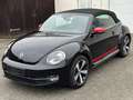 Volkswagen Beetle Cabriolet Club BMT TEMPO|CARPLAY|SHZ|NAVI Noir - thumbnail 7