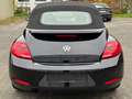 Volkswagen Beetle Cabriolet Club BMT TEMPO|CARPLAY|SHZ|NAVI Noir - thumbnail 4