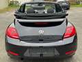 Volkswagen Beetle Cabriolet Club BMT TEMPO|CARPLAY|SHZ|NAVI Noir - thumbnail 21