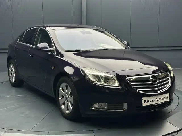 Opel Insignia view 7