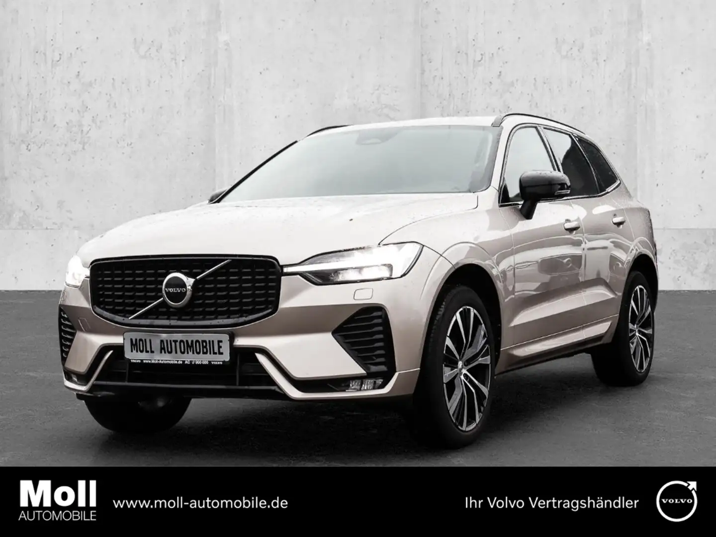 Volvo XC60 Plus Dark 2WD AHK Digitales Cockpit Memory Sitze S Grau - 1