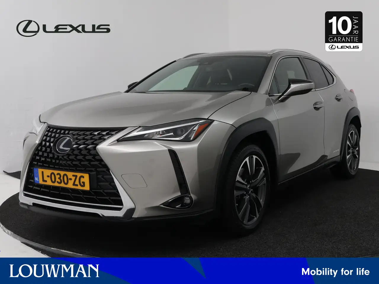 Lexus UX 250h