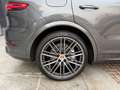 Porsche Cayenne Turbo 2.Hand Approved 03/27 8-Fach LED Grau - thumbnail 6
