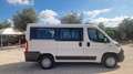 Fiat Ducato ducato panorama PC-TN 9 posti !! - thumbnail 10