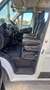 Fiat Ducato ducato panorama PC-TN 9 posti !! - thumbnail 3