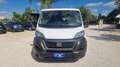 Fiat Ducato ducato panorama PC-TN 9 posti !! - thumbnail 17