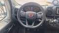 Fiat Ducato ducato panorama PC-TN 9 posti !! - thumbnail 5