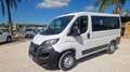 Fiat Ducato ducato panorama PC-TN 9 posti !! - thumbnail 16
