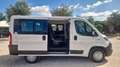 Fiat Ducato ducato panorama PC-TN 9 posti !! - thumbnail 15