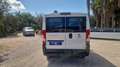 Fiat Ducato ducato panorama PC-TN 9 posti !! - thumbnail 12