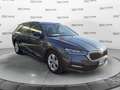 Skoda Octavia Octavia 2.0 TDI EVO SCR DSG Wagon Executive *PREZ Grau - thumbnail 7