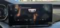 Skoda Octavia Octavia 2.0 TDI EVO SCR DSG Wagon Executive *PREZ Grau - thumbnail 22