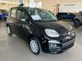 Fiat Panda 1.0 firefly 70cv s&s hybrid Icon Noir - thumbnail 3