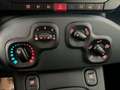 Fiat Panda 1.0 firefly 70cv s&s hybrid Icon Noir - thumbnail 13