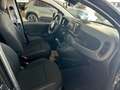 Fiat Panda 1.0 firefly 70cv s&s hybrid Icon Noir - thumbnail 16