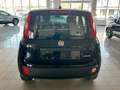Fiat Panda 1.0 firefly 70cv s&s hybrid Icon Noir - thumbnail 5