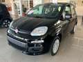 Fiat Panda 1.0 firefly 70cv s&s hybrid Icon Noir - thumbnail 1