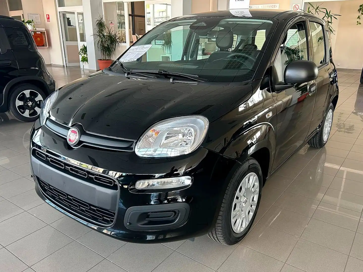 Fiat Panda 1.0 firefly 70cv s&s hybrid Icon Nero - 1