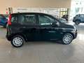 Fiat Panda 1.0 firefly 70cv s&s hybrid Icon Noir - thumbnail 22