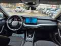 Skoda Octavia Octavia Wagon 2.0 tdi Selection 150cv dsg Argent - thumbnail 15
