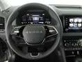 Skoda Karoq 4x4 Selection TDI DSG Grau - thumbnail 10