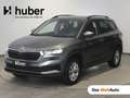 Skoda Karoq 4x4 Selection TDI DSG Grau - thumbnail 1