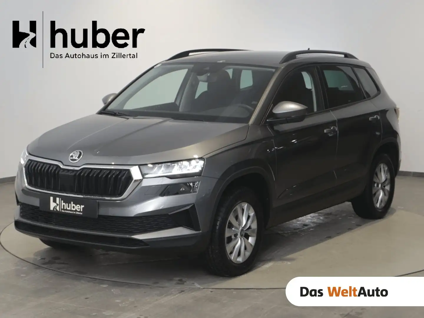 Skoda Karoq 4x4 Selection TDI DSG Grau - 1