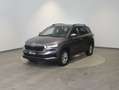 Skoda Karoq 4x4 Selection TDI DSG Grau - thumbnail 2
