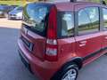 Fiat Panda 1.3 MJT 16V 4x4 AWD TRAZIONE INTEGRALE Rot - thumbnail 5