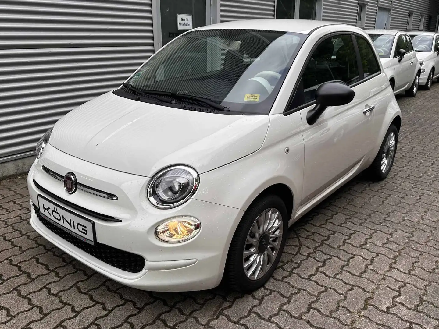 Fiat 500 MY23 1.0 Klimaalage Radio Weiß - 1