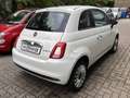 Fiat 500 MY23 1.0 Klimaalage Radio Weiß - thumbnail 11