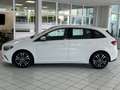 Mercedes-Benz B 200 d Progressive Advanced WinterPaket+EasyPack Weiß - thumbnail 10