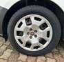 Fiat Doblo cargo 1.6 mjt 120cv CH1 Trekking S&S Bianco - thumbnail 10
