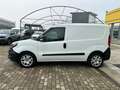 Fiat Doblo cargo 1.6 mjt 120cv CH1 Trekking S&S Bianco - thumbnail 4