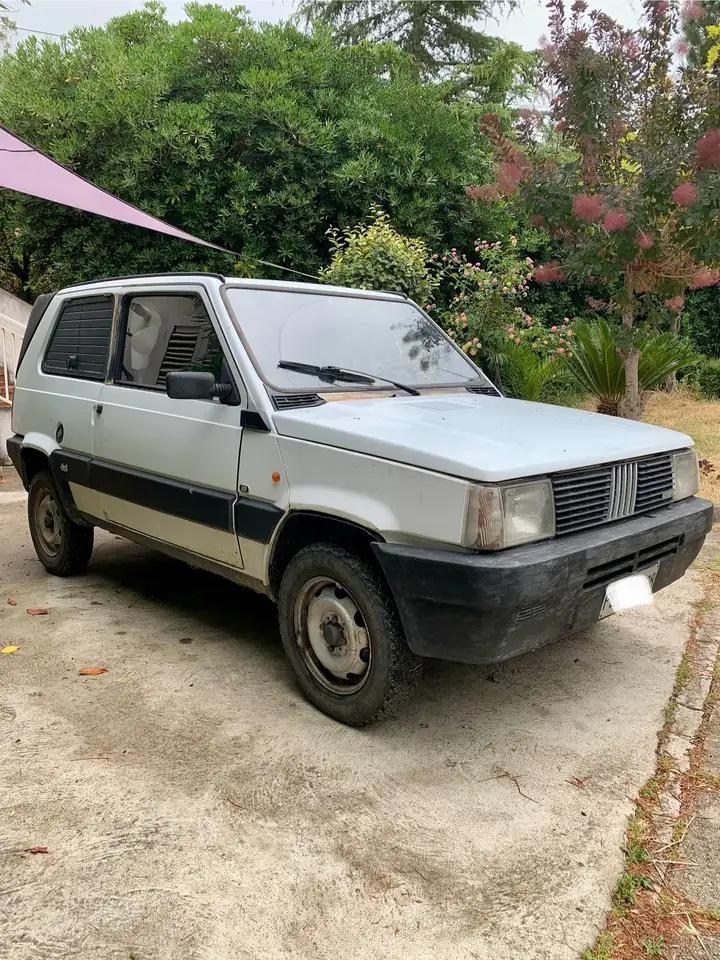 Fiat Panda 4x4, foto 1